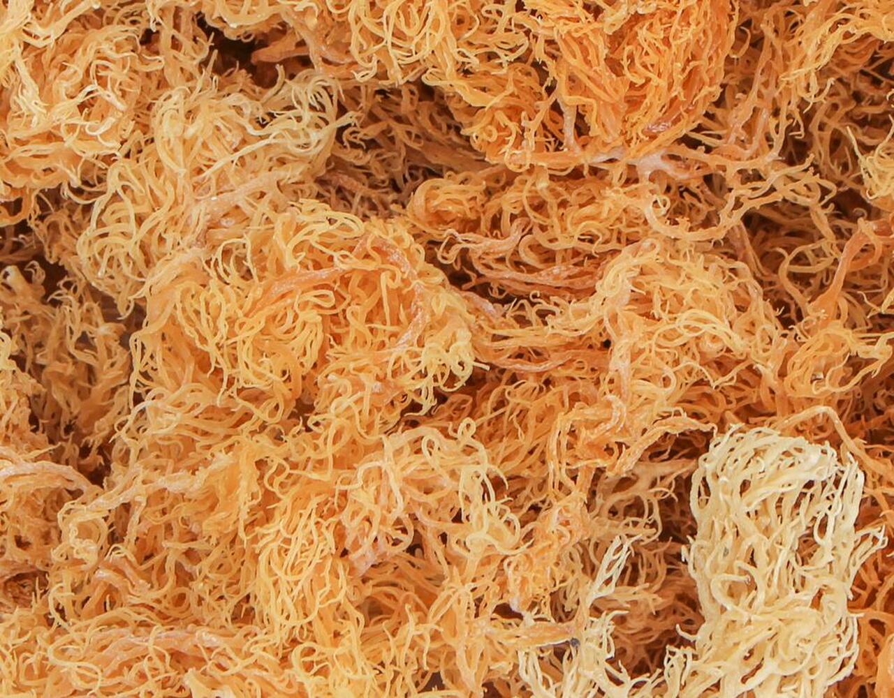 These Are The Health Benefits Of Sea Moss — And A List Of Black Owned Brands