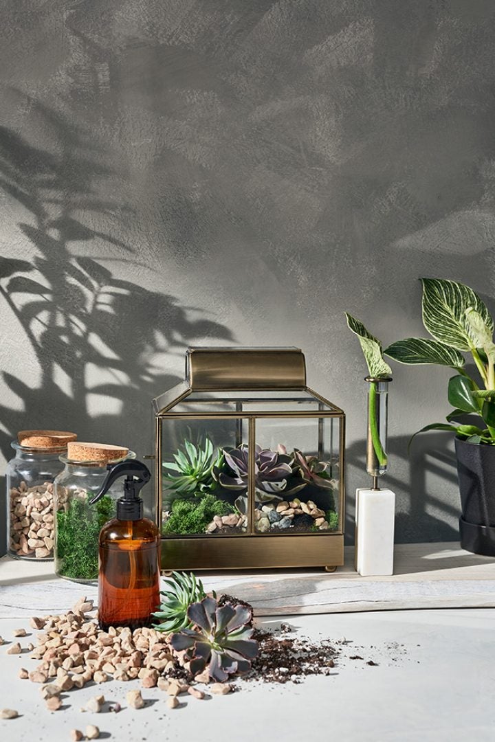 First Look: Plant Enthusiast Hilton Carter's New Target Designer Collection Will Make Your Spring