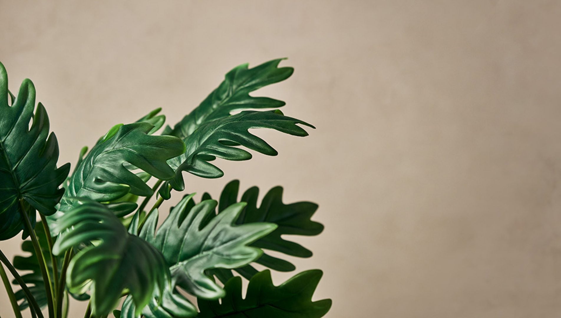 First Look: Plant Enthusiast Hilton Carter's New Target Designer Collection Will Make Your Spring