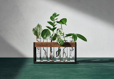 First Look: Plant Enthusiast Hilton Carter’s New Target Designer Collection Will Make Your Spring