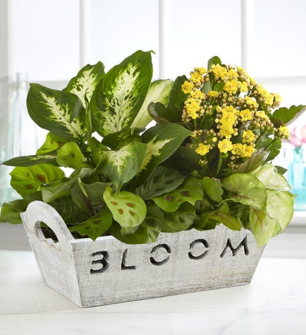 17 Showstopping Mother's Day Floral Arrangements For Every Type Of Mom