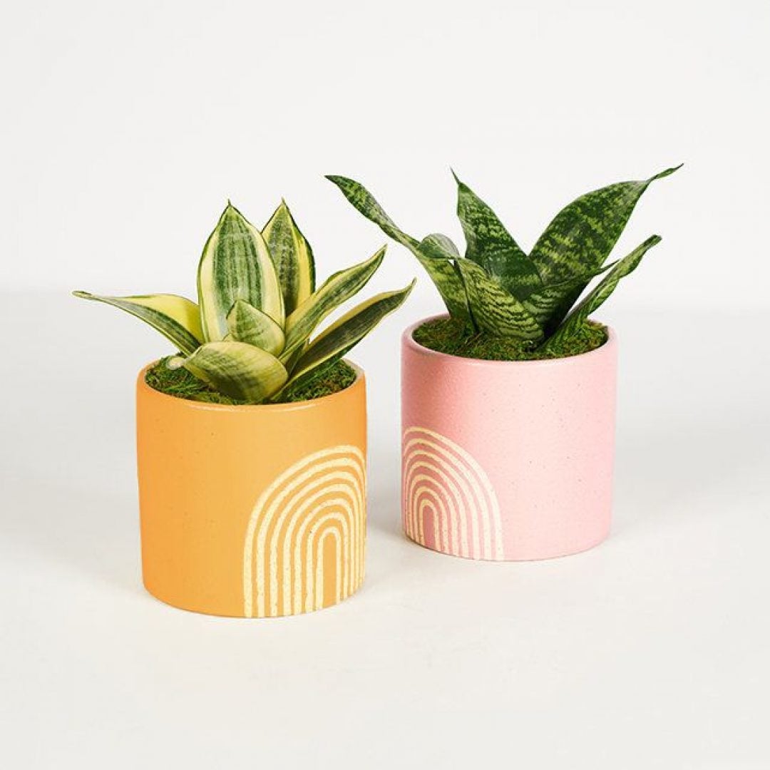 17 Showstopping Mother's Day Floral Arrangements For Every Type Of Mom