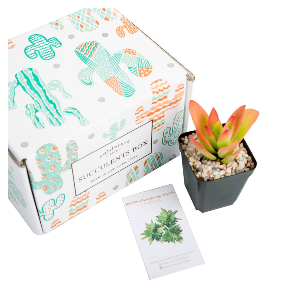 10 Last-Minute Mother’s Day Gifts From Amazon