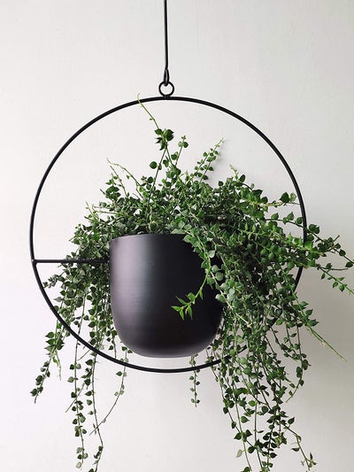 Plant Lovers, Behold! 17 Planters So Chic They Basically Double As Show-Stopping Decor