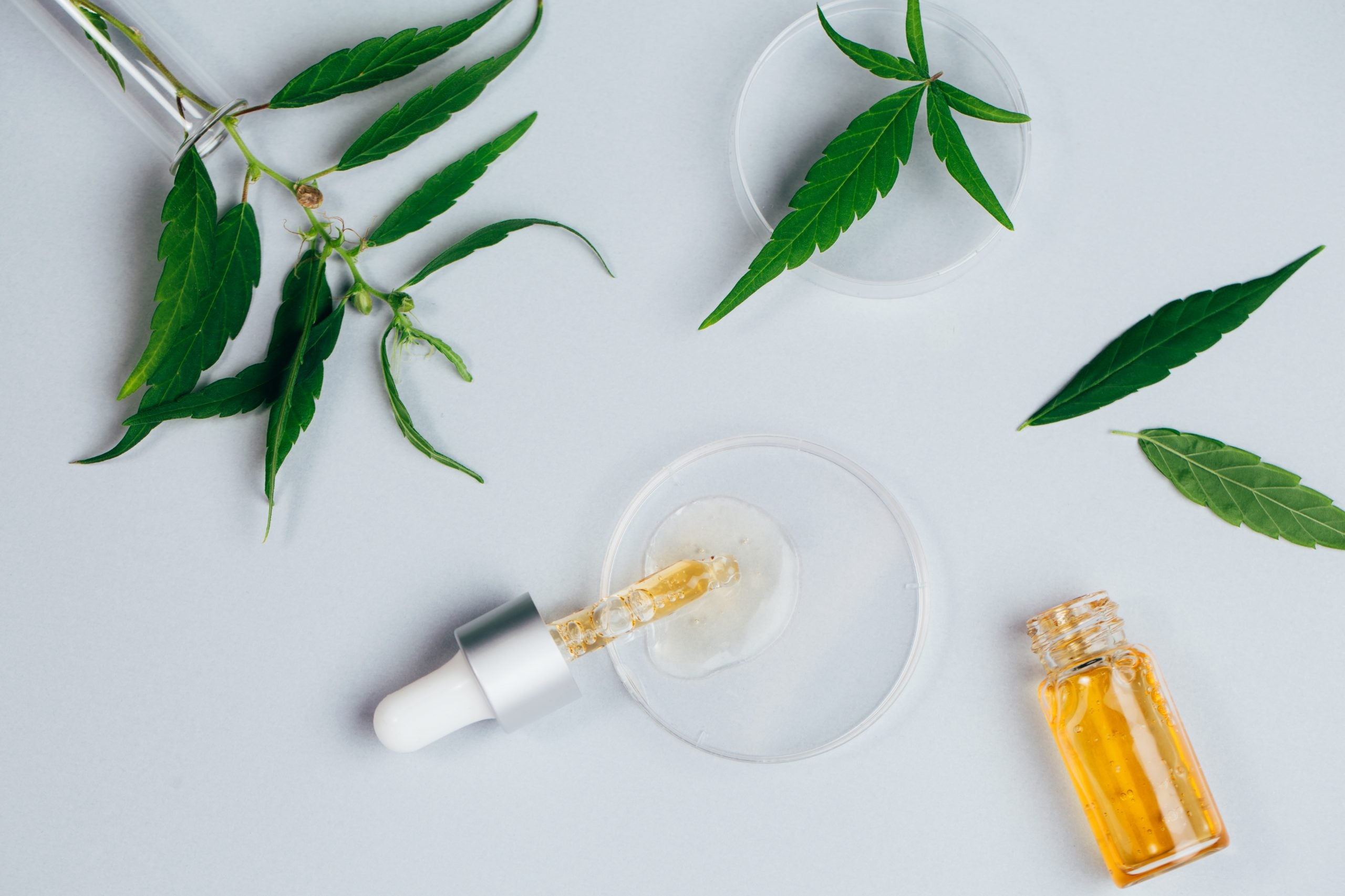 The Best CBD Beauty Products For A Healthy, Glowing Complexion
