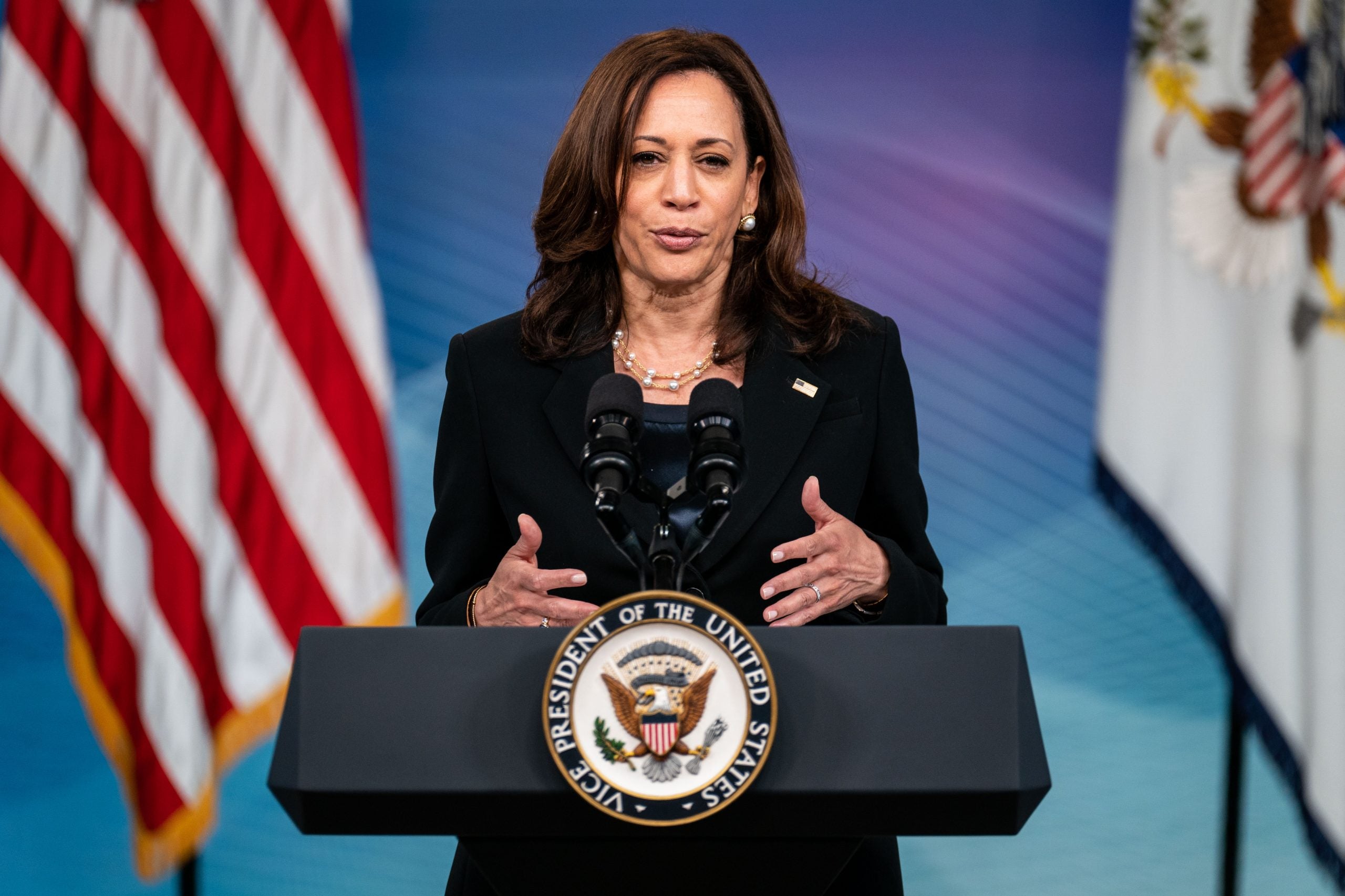 Vice President Kamala Harris to Lead White House Efforts to Protect Voting Rights