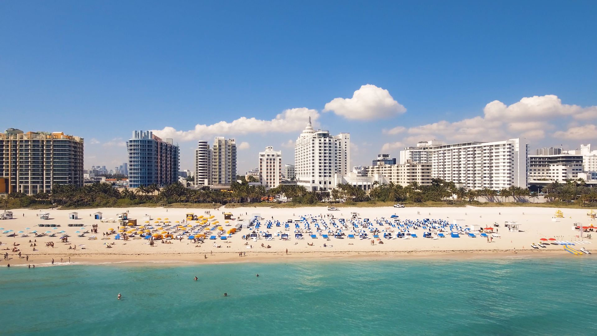 Still A Little Nervous About Traveling? Stay At The Loews Miami And You’ll Never Have To Leave