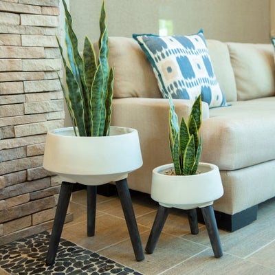 Plant Lovers, Behold! 17 Planters So Chic They Basically Double As Show-Stopping Decor