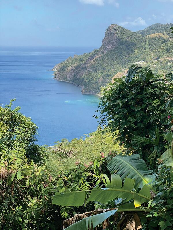 Just Escape: A Solo Trip To Dominica’s Rainforests Was Exactly What This Busy Mama Needed