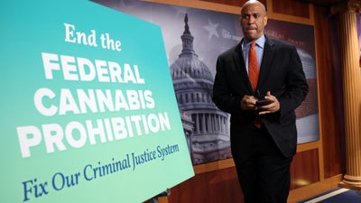 Democratic Senators Introduce Bill to Decriminalize Marijuana at the Federal Level