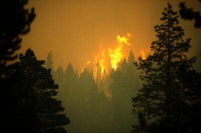 Caldor Wildfire Spreading to Lake Tahoe, Forces Mass Evacuations