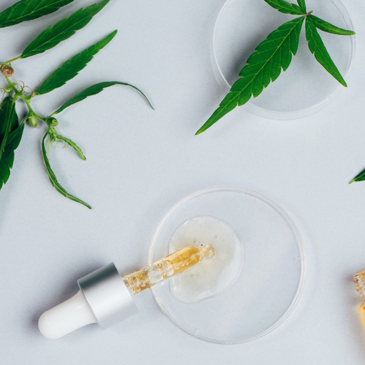 Treat Yourself To These Giftable CBD Products This Holiday Season