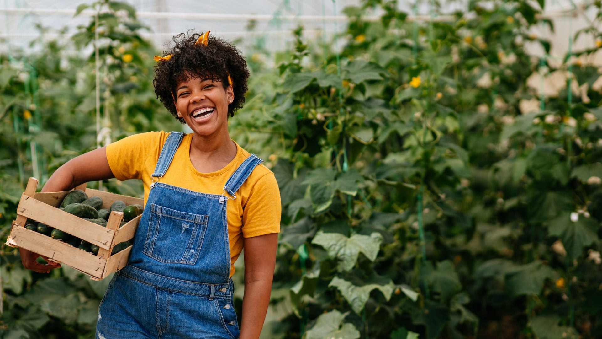 Amex Supports Black-Owned Businesses Just In Time For the Holidays