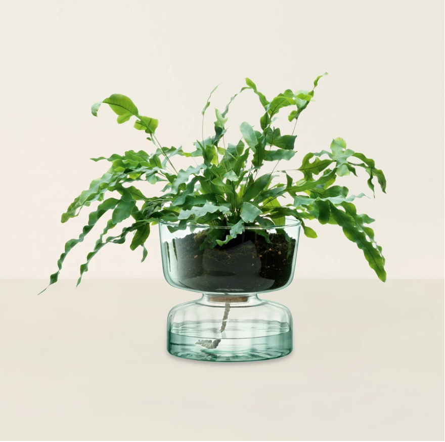 7 Special Gifts For The Person Who Has Everything