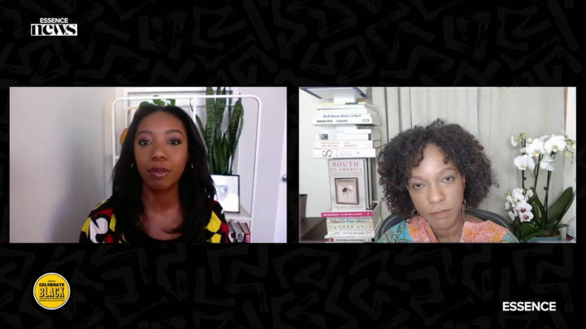 Dr. Imani Perry | Speaks About Critical Race Theory