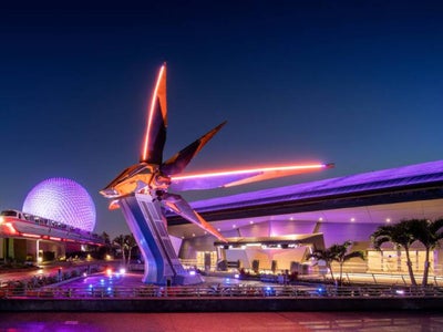 7 Must-See Things For Young Adults To Enjoy At Disney World