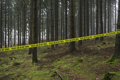 ￼Woman Missing Over A Week Found In Dense Forest Sitting On Tree Stump Singing “Amazing Grace”