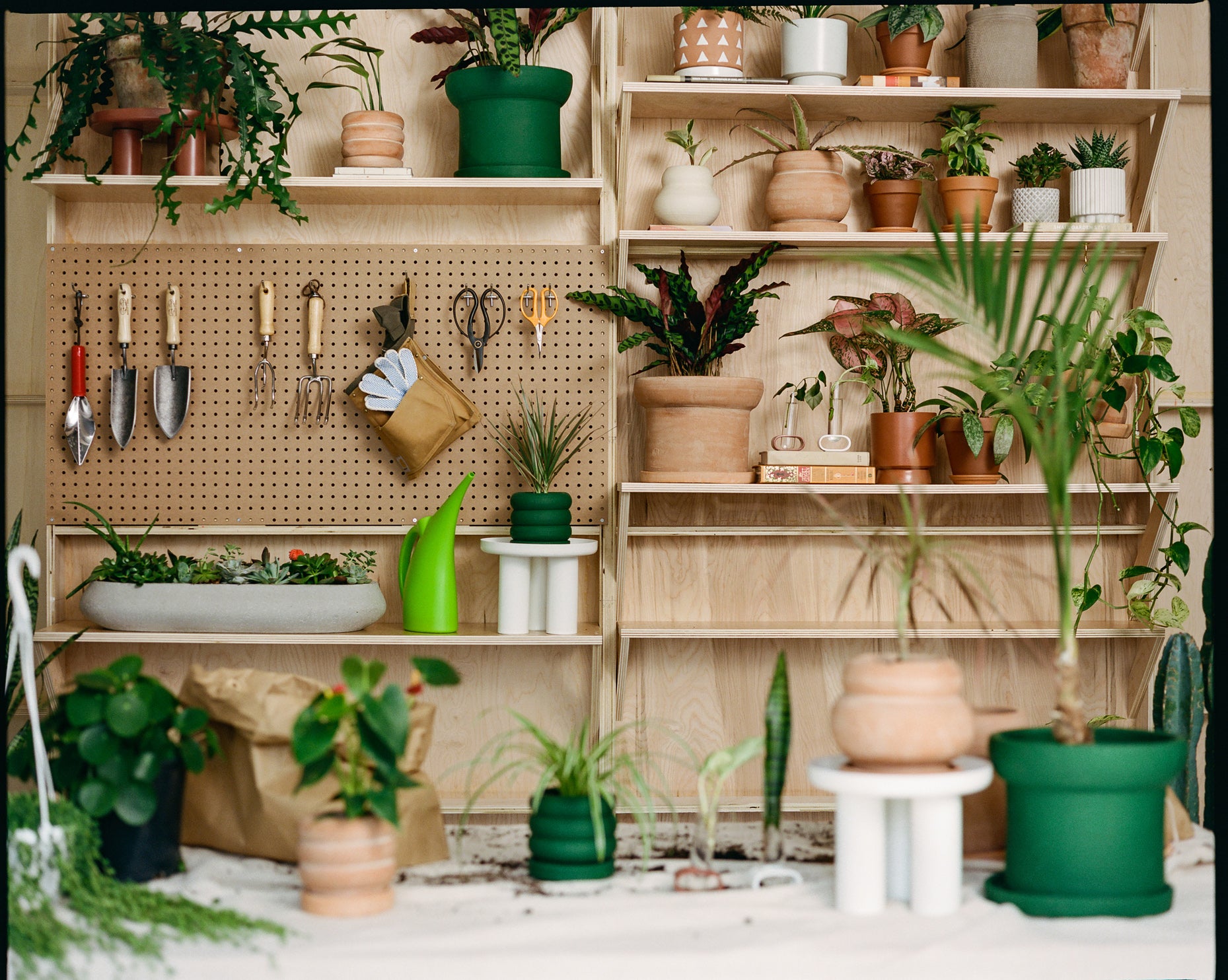 Plant Kween x West Elm Team Up For The Ultimate Collection For Plant Moms