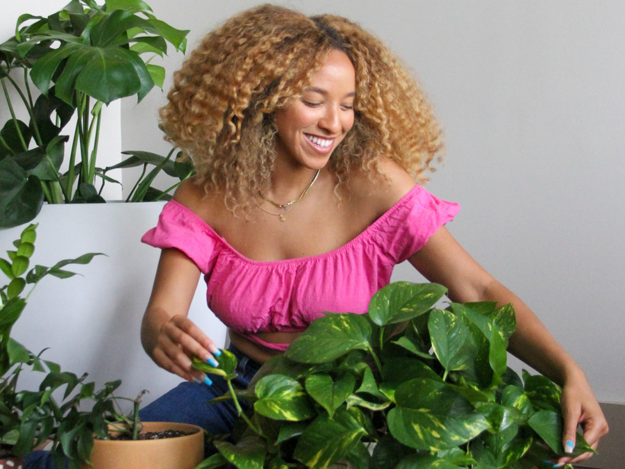 We Asked A ‘Plant Doctor’ How To Choose The Best Houseplants For Your Lifestyle