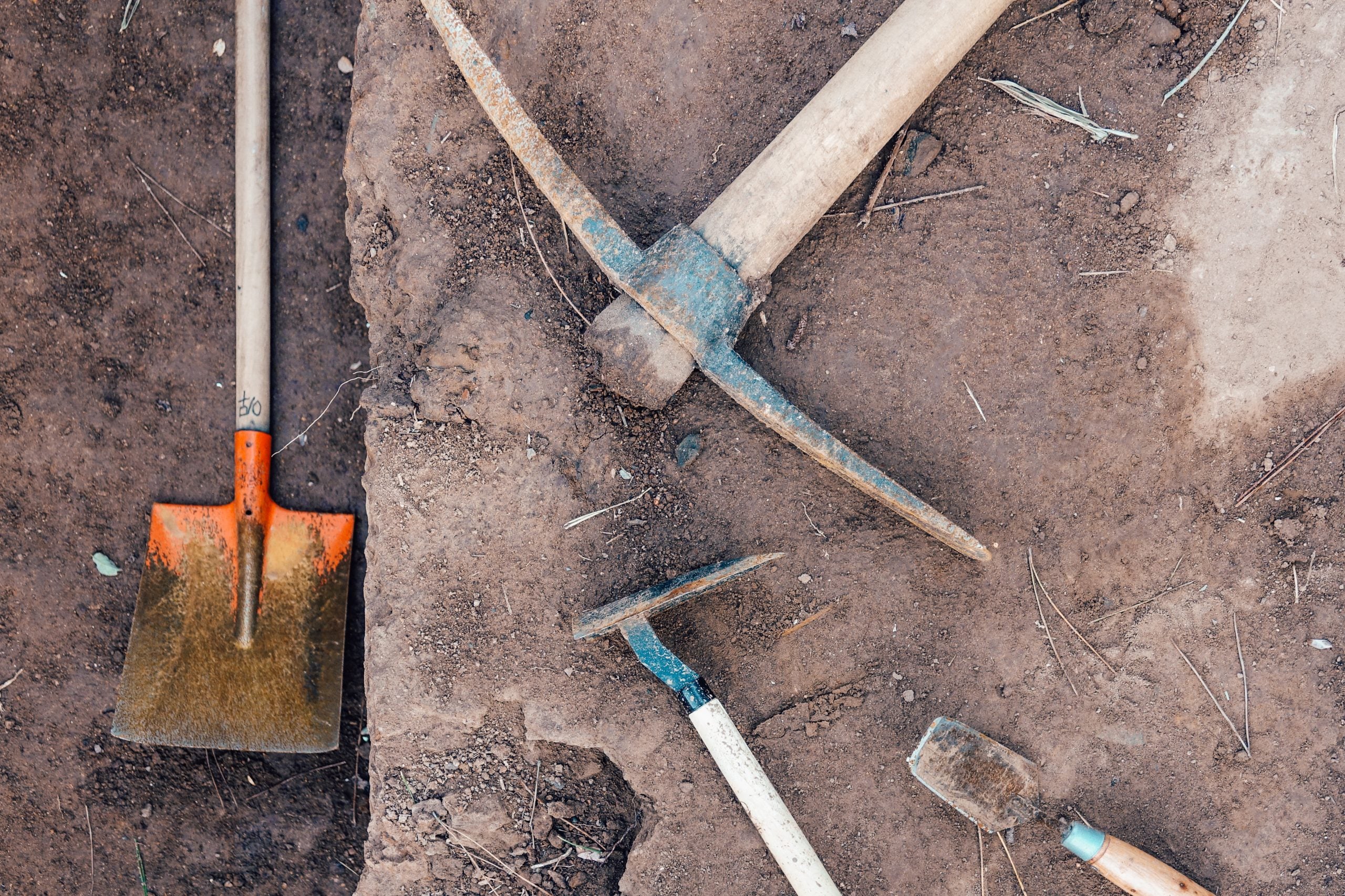 Graves Of Colonial Virginia’s Oldest Black Churches Excavated