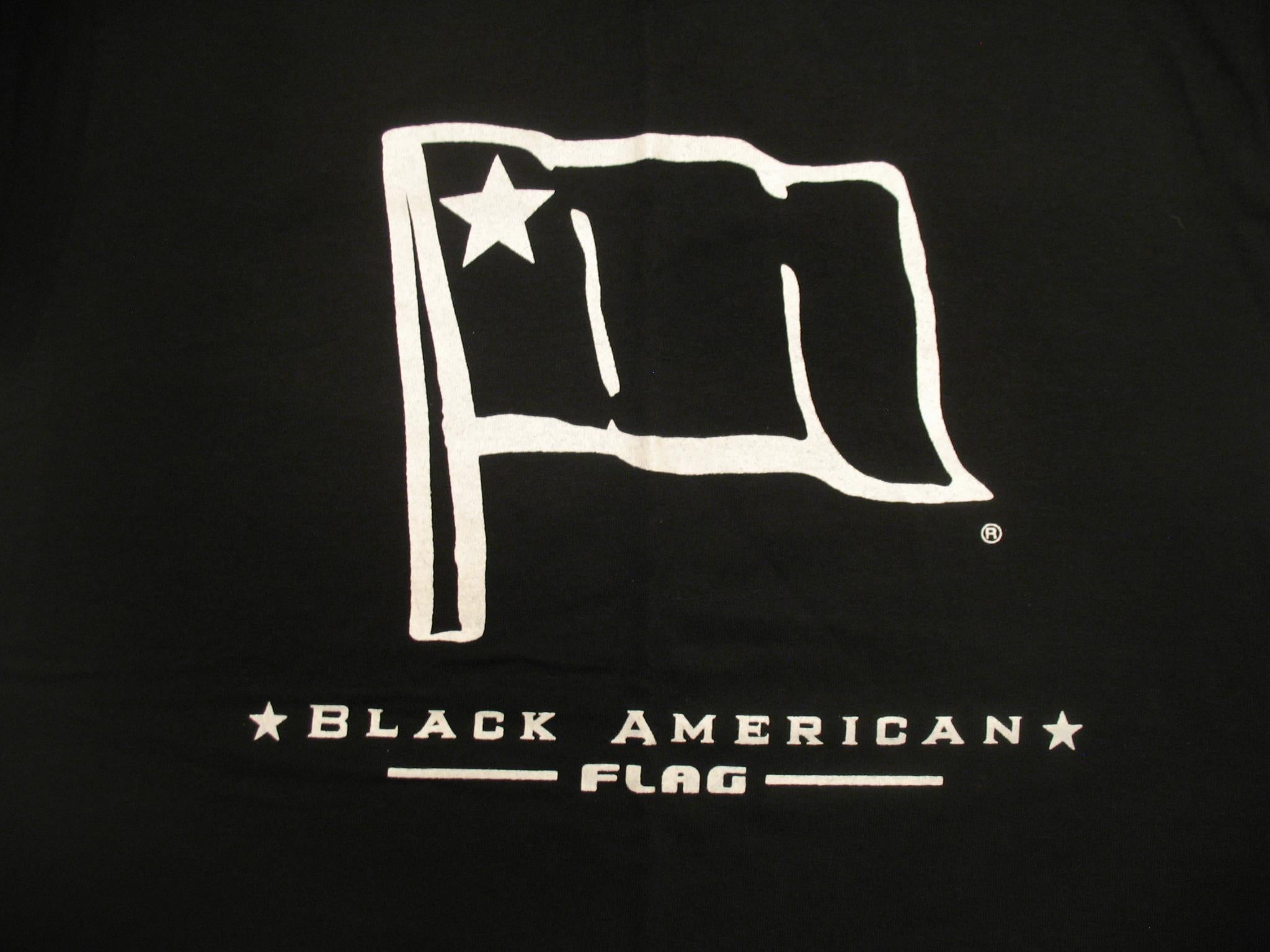A Timeline Of Black American Flags Throughout History