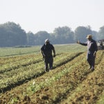 Black Farmers Association Condemns Elimination Of  Debt Relief Program For Farmers of Color