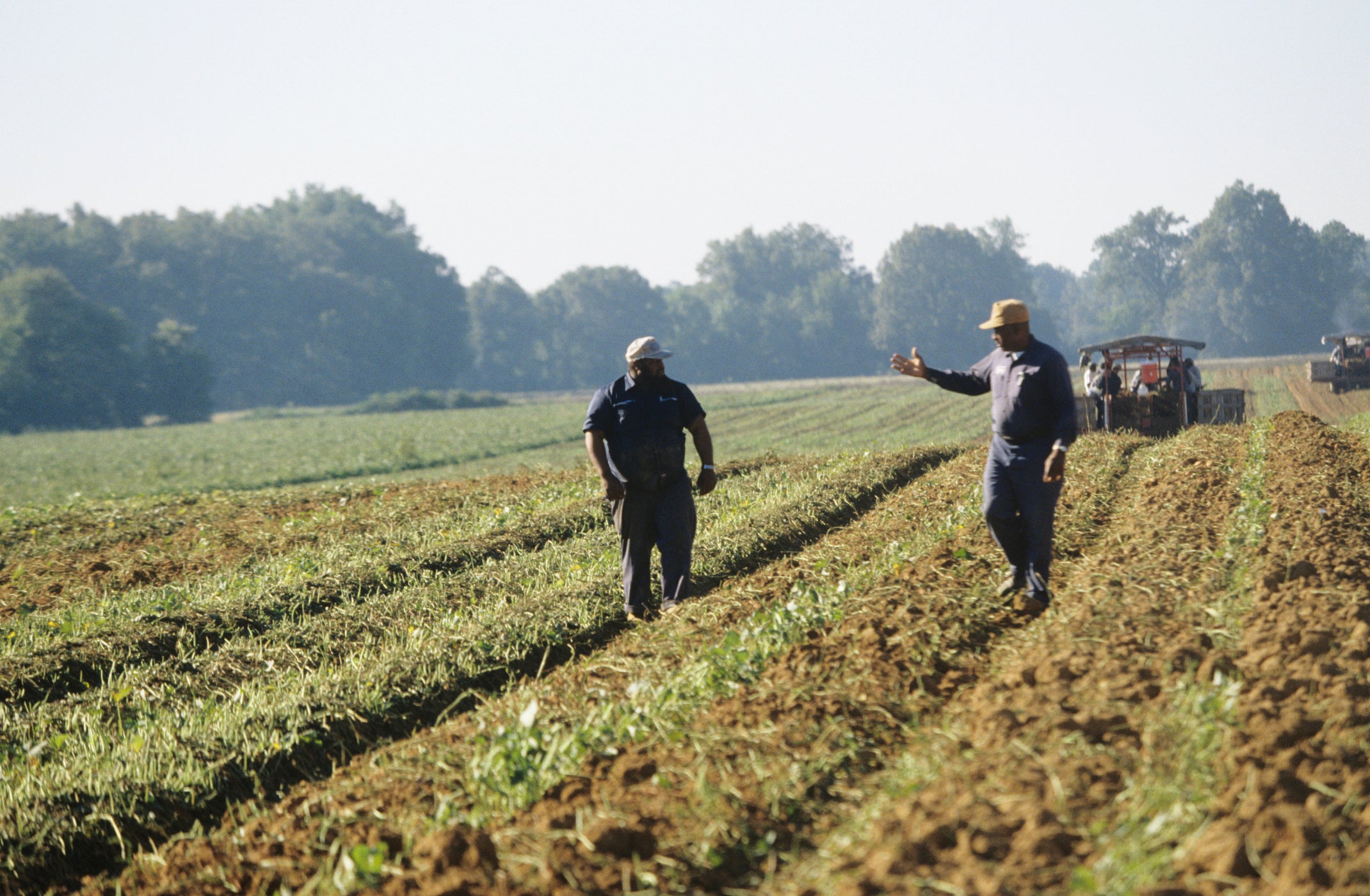 Black Farmers Association Condemns Elimination Of Debt Relief Program For Farmers Of Color