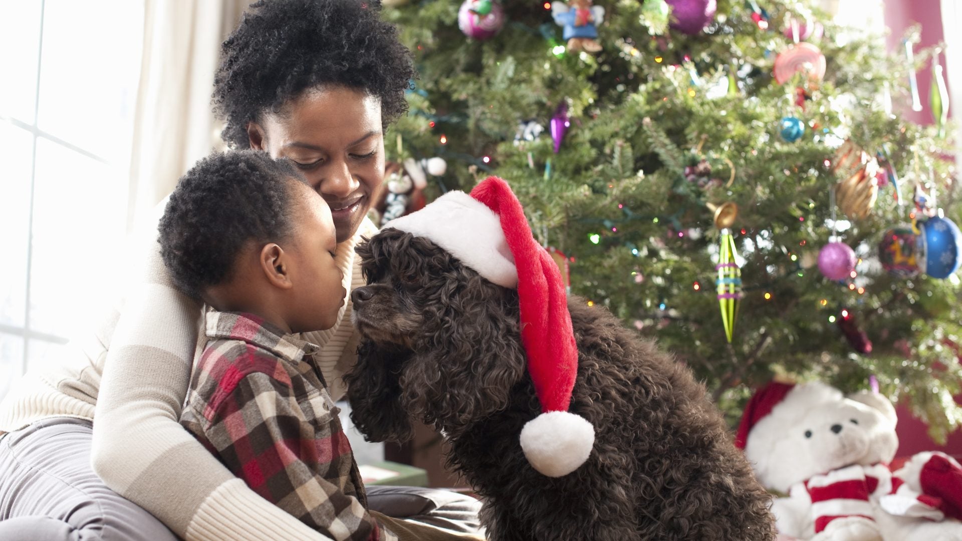 More People Plan To Buy Gifts For Pets Than People This Year