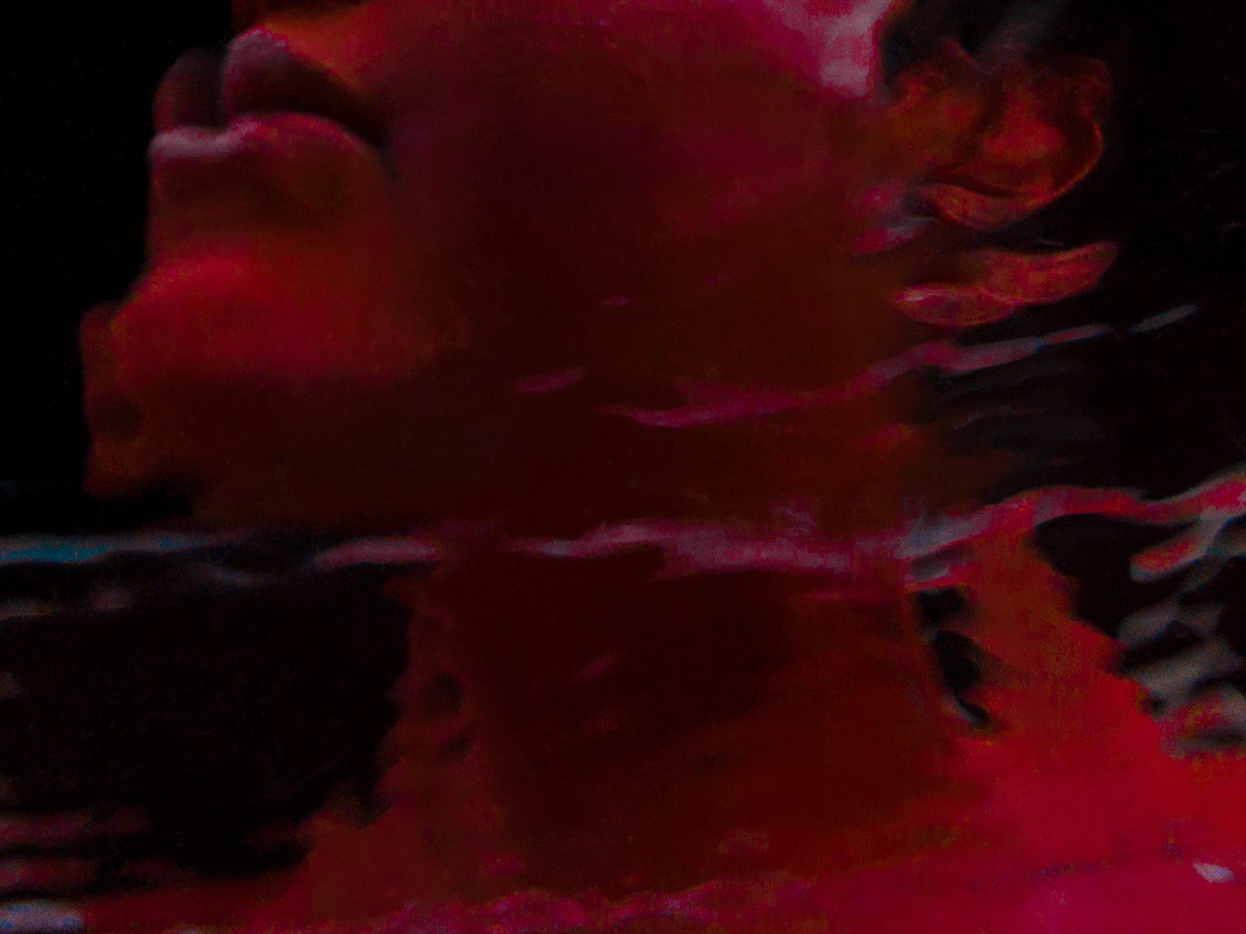 Google Pixel & SN37 Gallery Present Season 7 Of Creator Labs