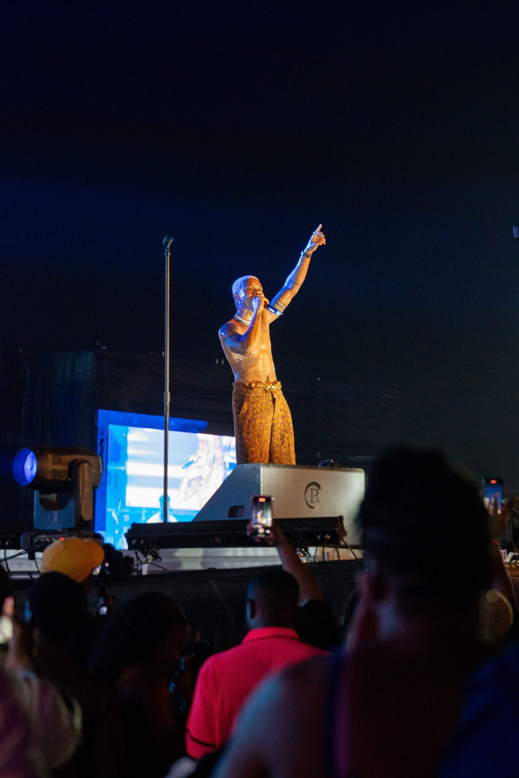 Here's What You Missed At The Final Afrochella