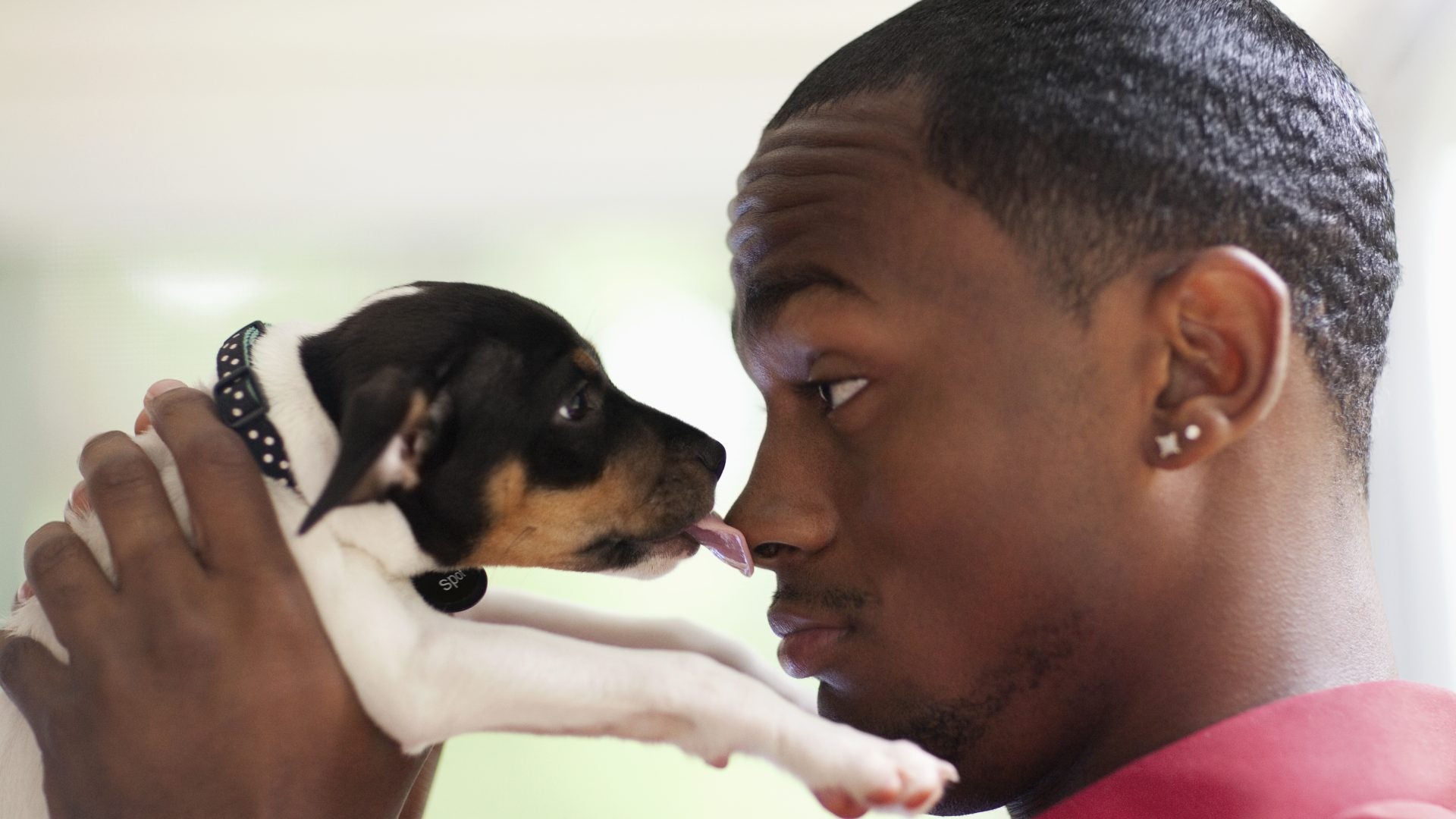 People Are Giving Up Their Pets Due To Inflation