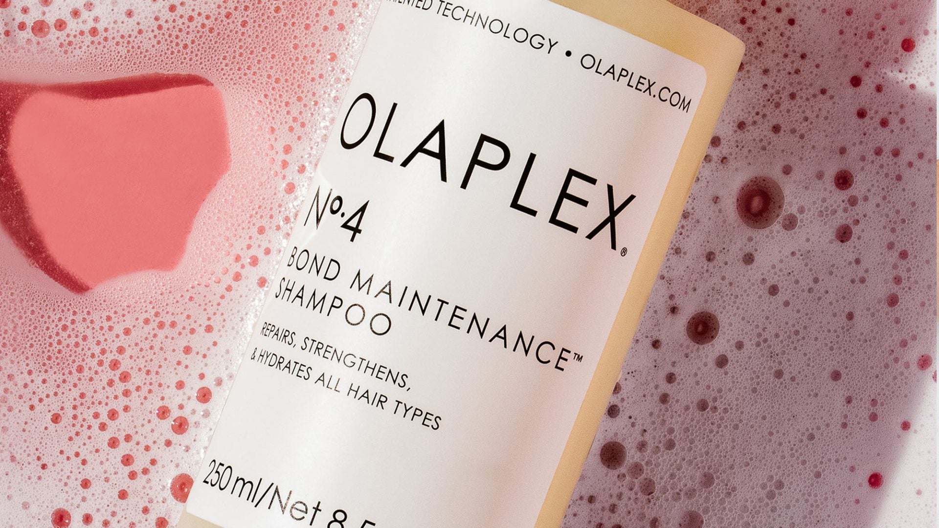 The Best Products For Dry Hair