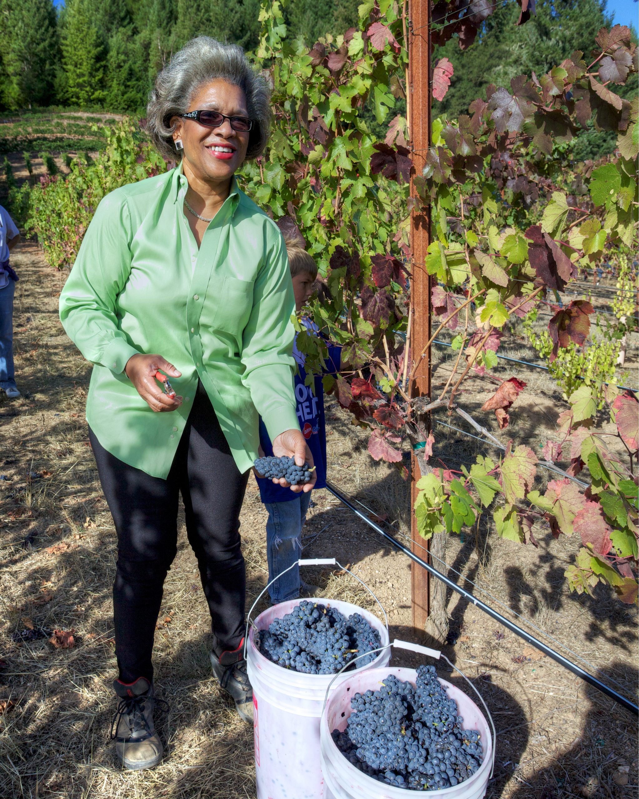 The Disruptors: Theodora Lee Of Theopolis Vineyards Is Promoting Diversity In The Wine Industry