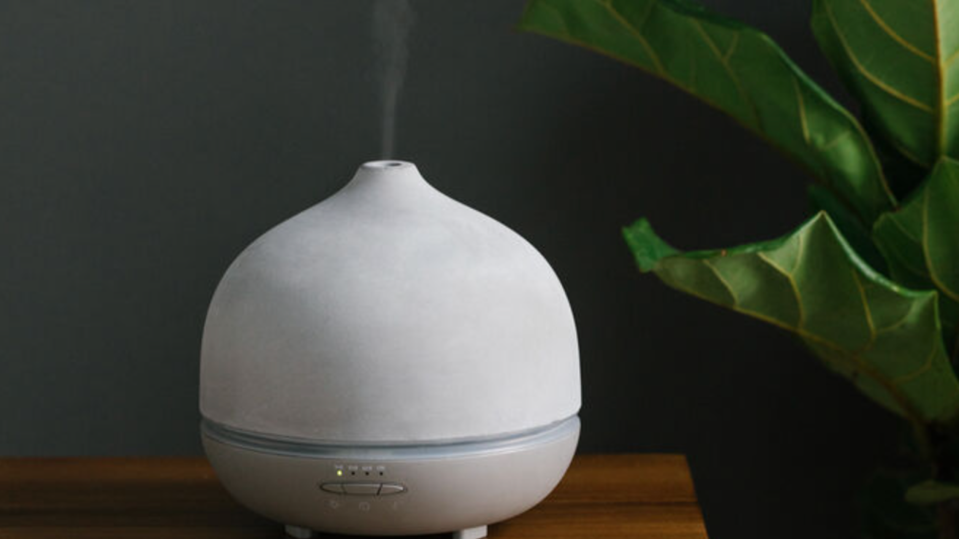 The Best Essential Oil Diffusers To Turn Your Home Into A Zen Oasis