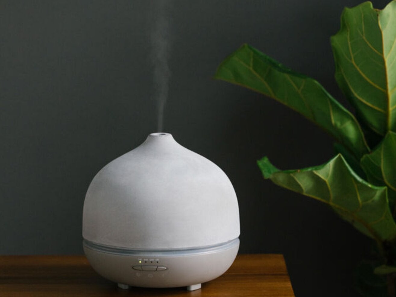 The Best Essential Oil Diffusers To Turn Your Home Into A Zen Oasis
