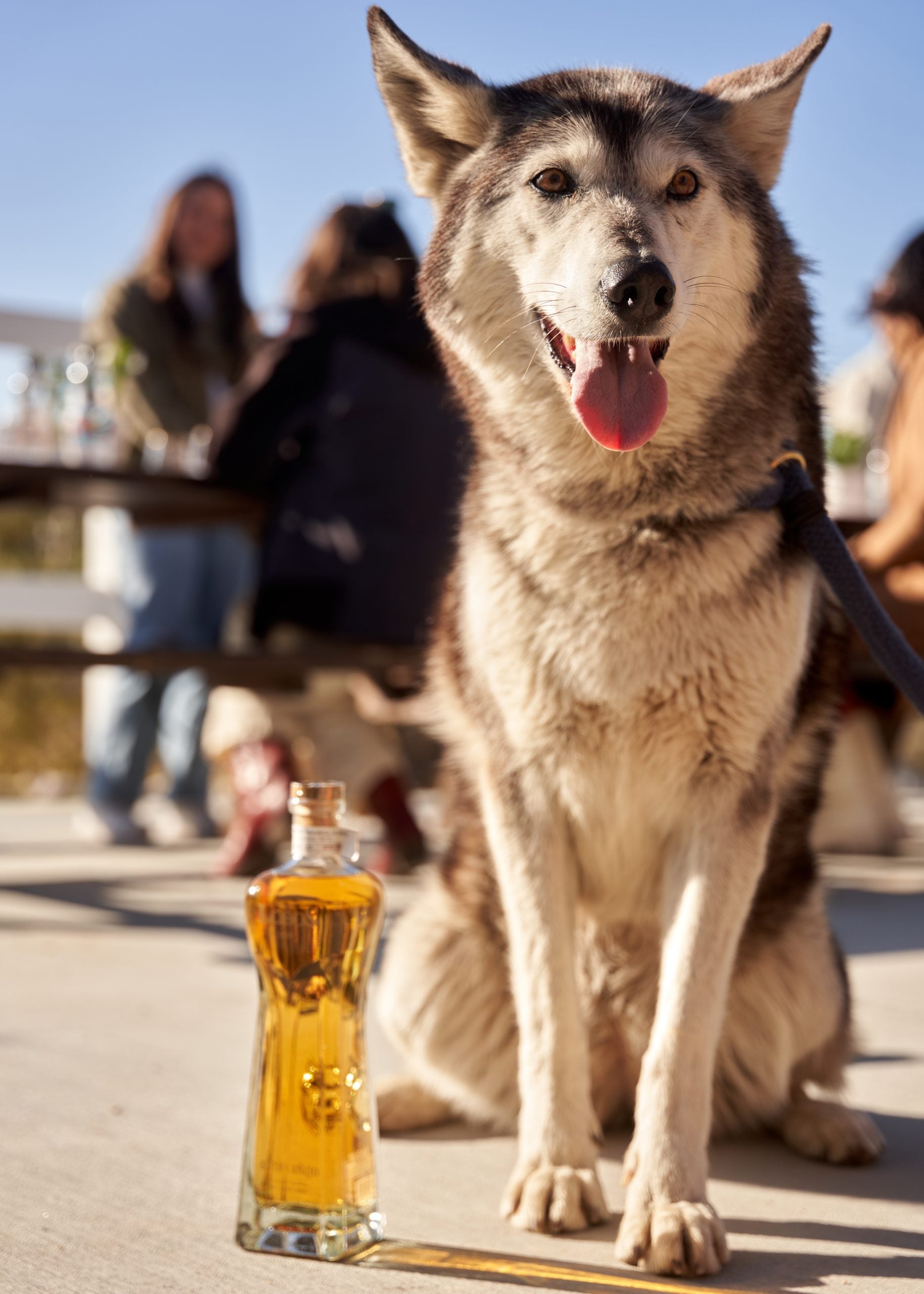 Why Lobos 1707 Is The Tequila Celebs Are Sipping On This Cinco De Mayo