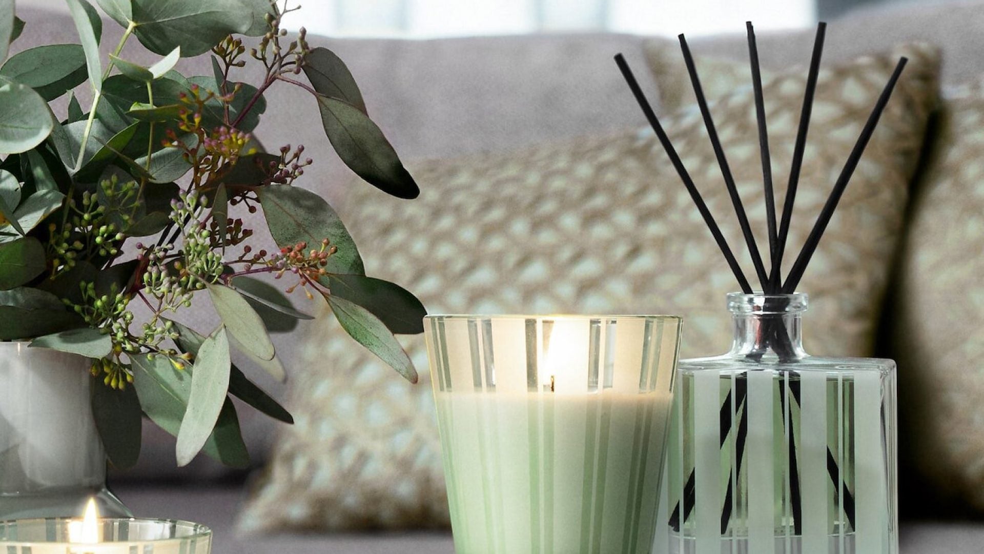 7 Best Room Deodorizers For Long Lasting Freshness