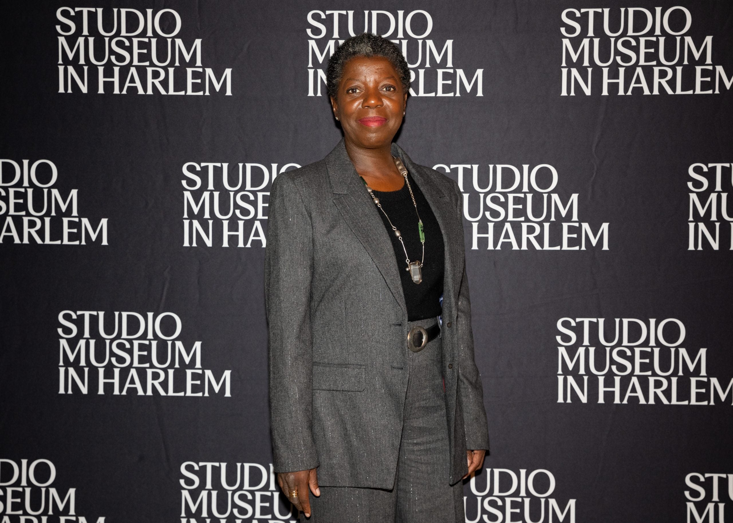 Harlem Studio Museum Celebrates Its Future At Renaissance Hotel