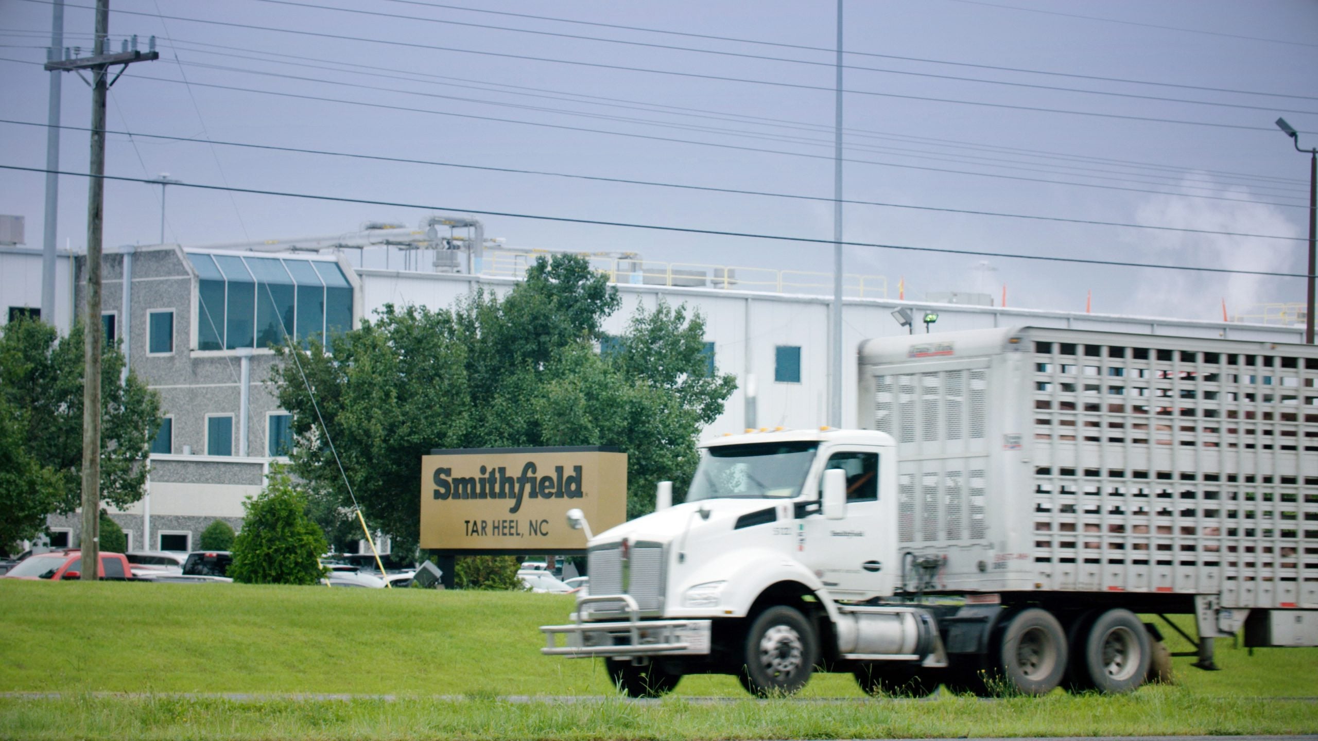 This Company Is Polluting A Predominantly Black Town With Pig Manure. And The Government Is Making It Easier For Them To Do It