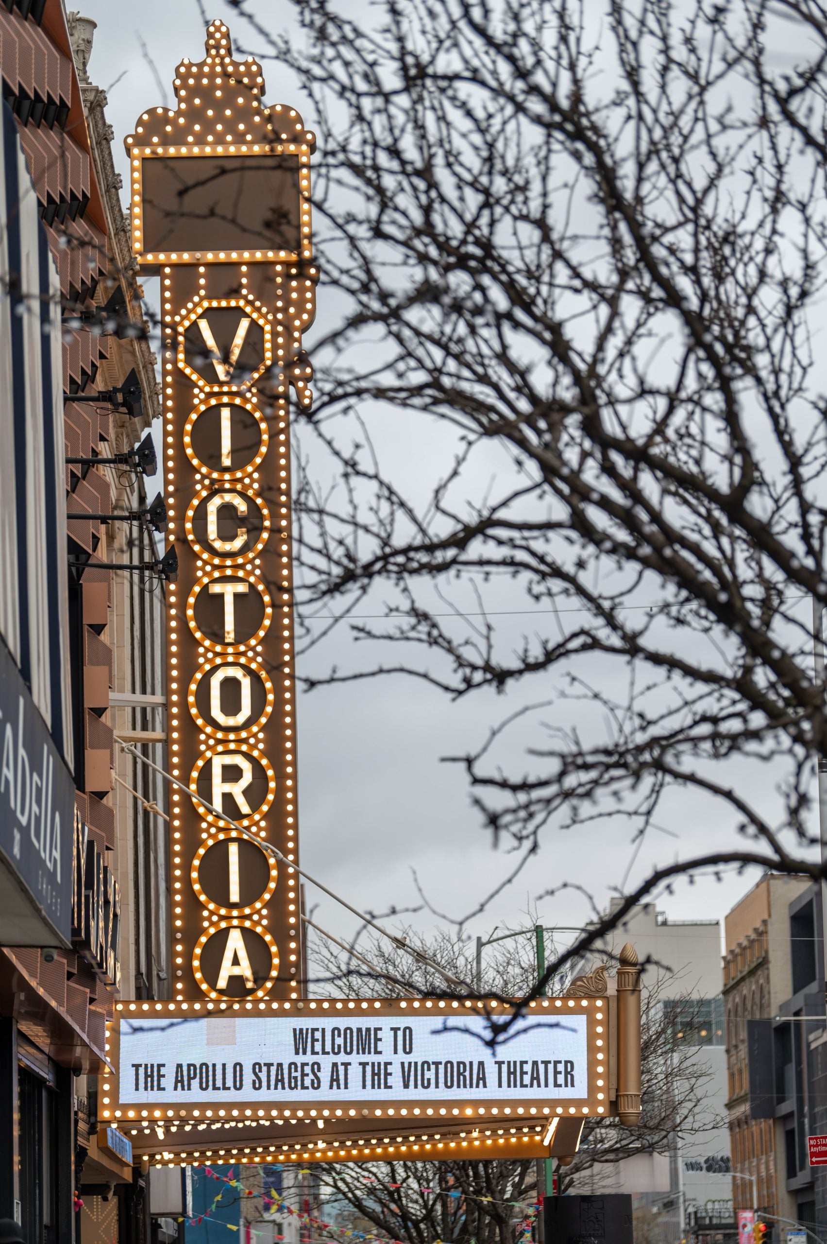 The Apollo Unveils Expansion To Harlem’s Victoria Theater