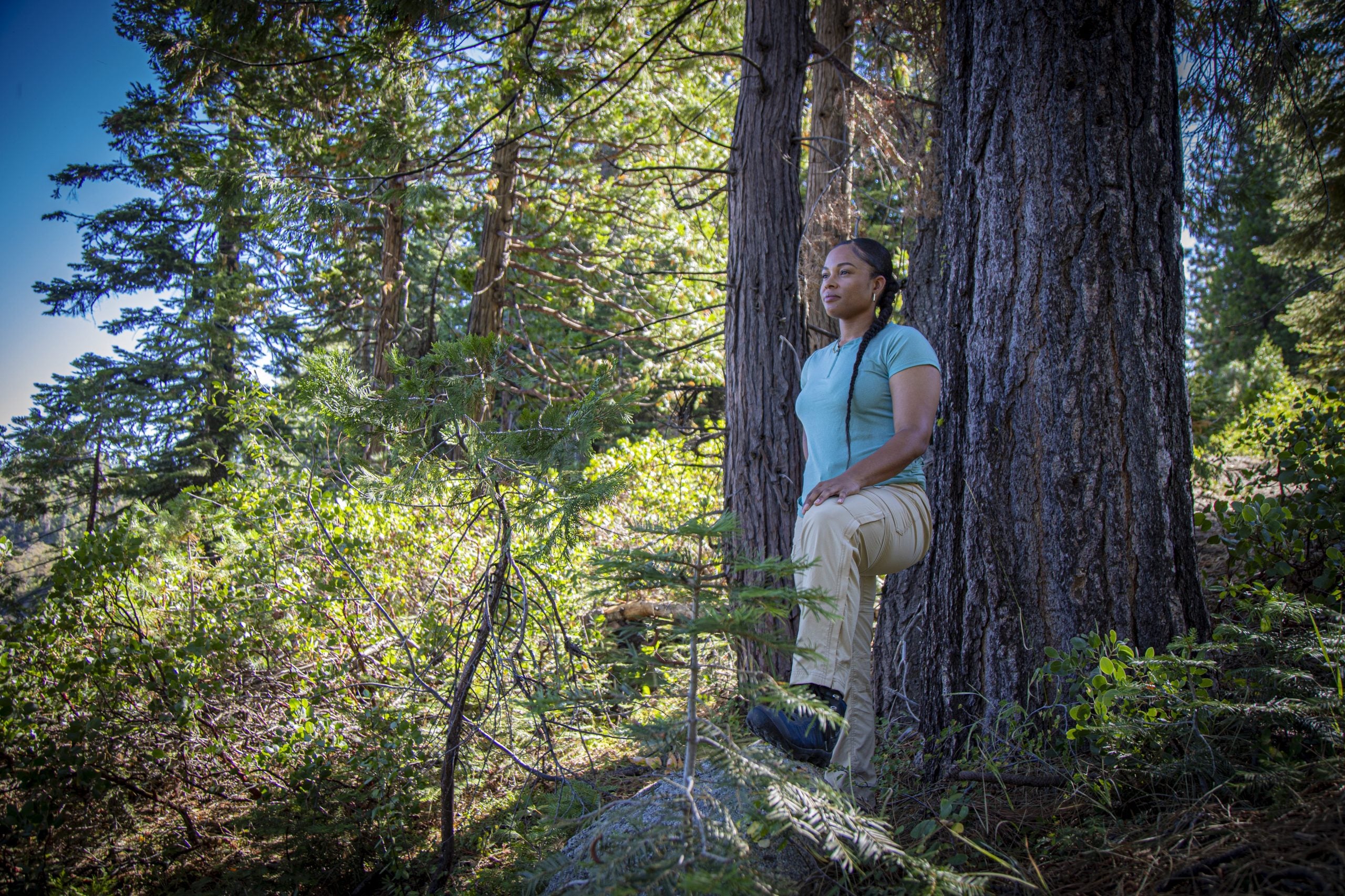 California’s First And Only Black-Led Land Trust Acquires 650 Acres, Prepares To Break Ground