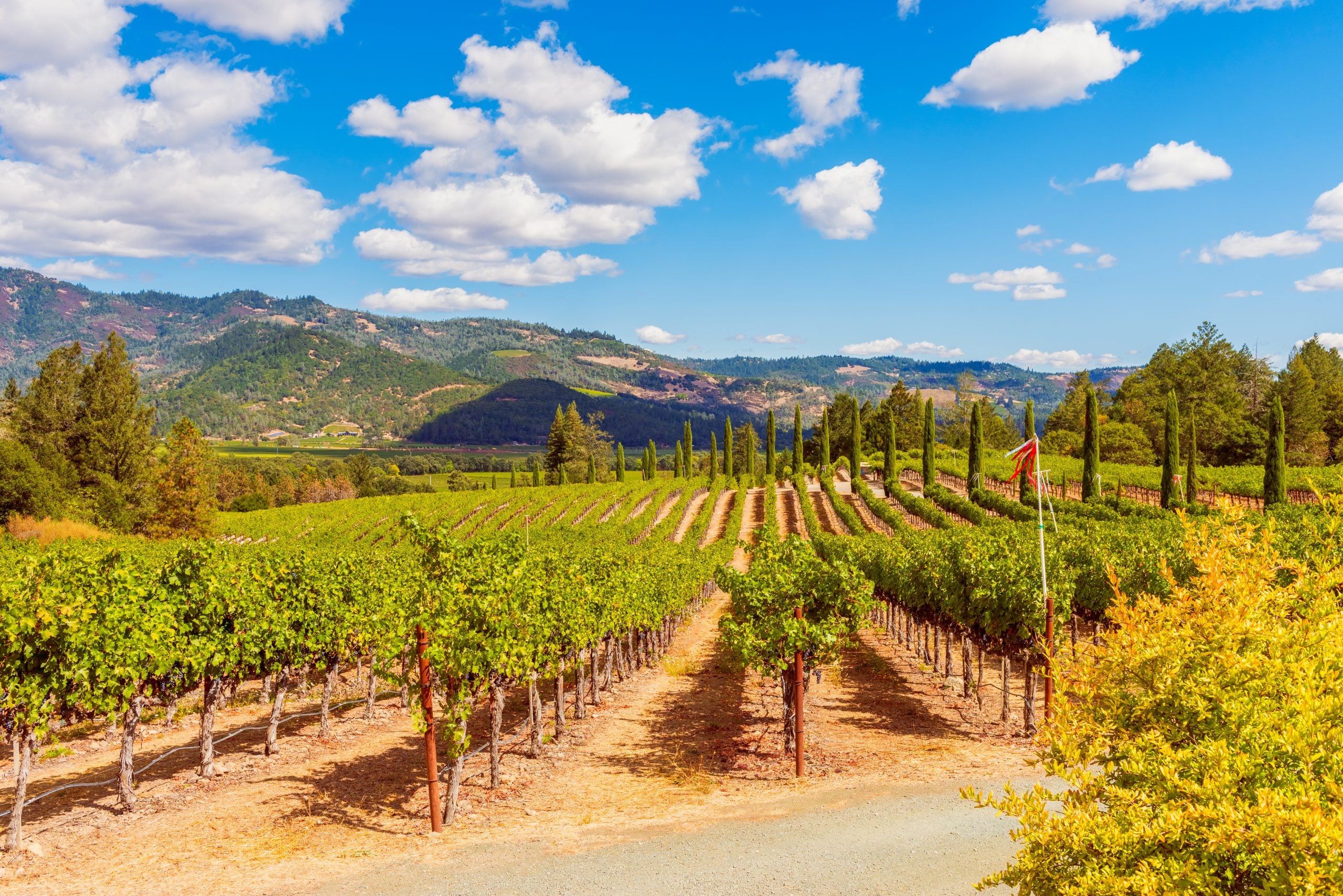 A Black Girl’s Guide To Napa Valley