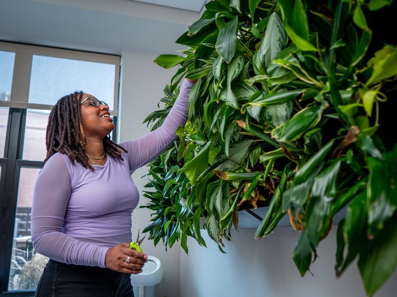A Guide To Black-Women-Owned Cannabis Businesses