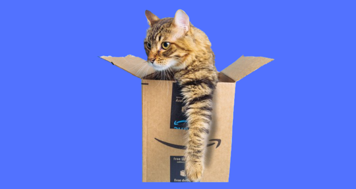 Amazon Pet Day Is Here With Purr-Fect Deals For Pet Owners