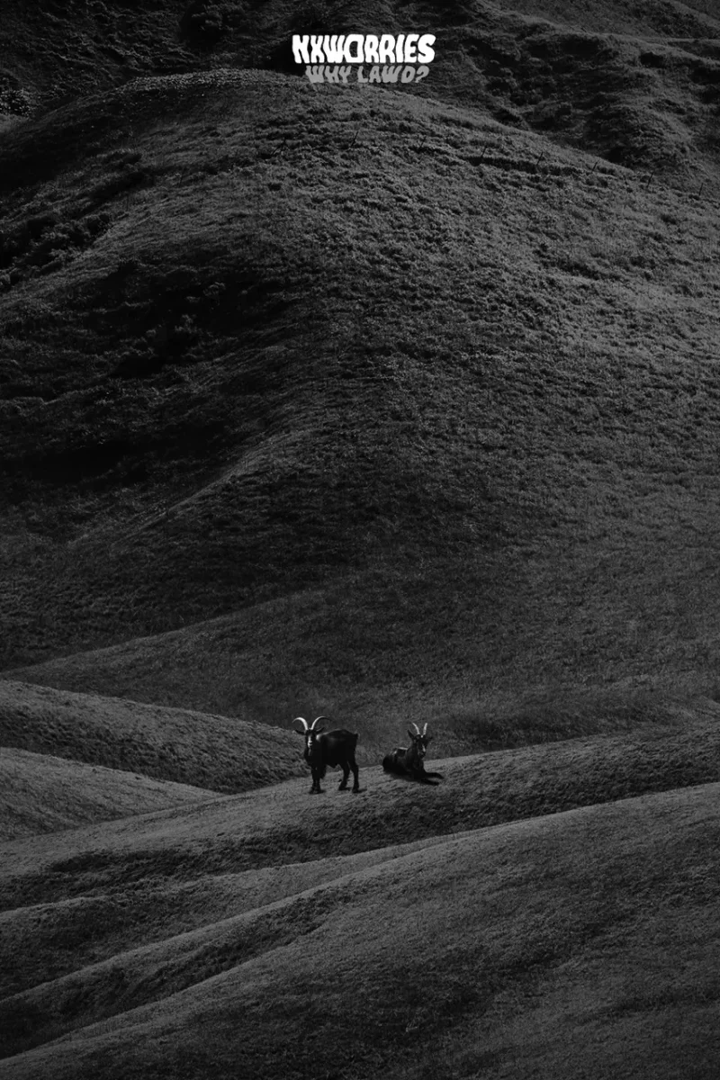 Best New Music This Week: Normani, Victoria Monét, Pharrell Williams And More