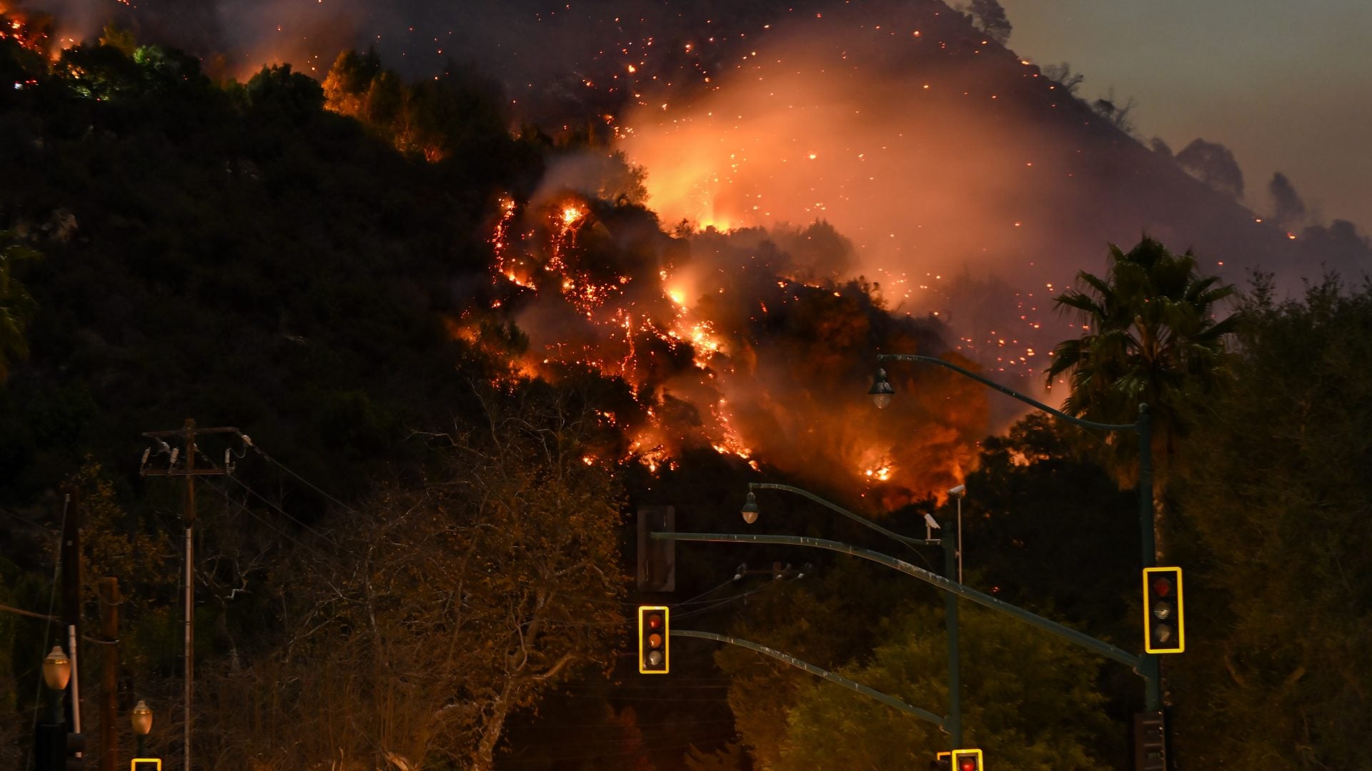 Award Season Disrupted: How Hollywood Is Navigating Wildfires And Delays