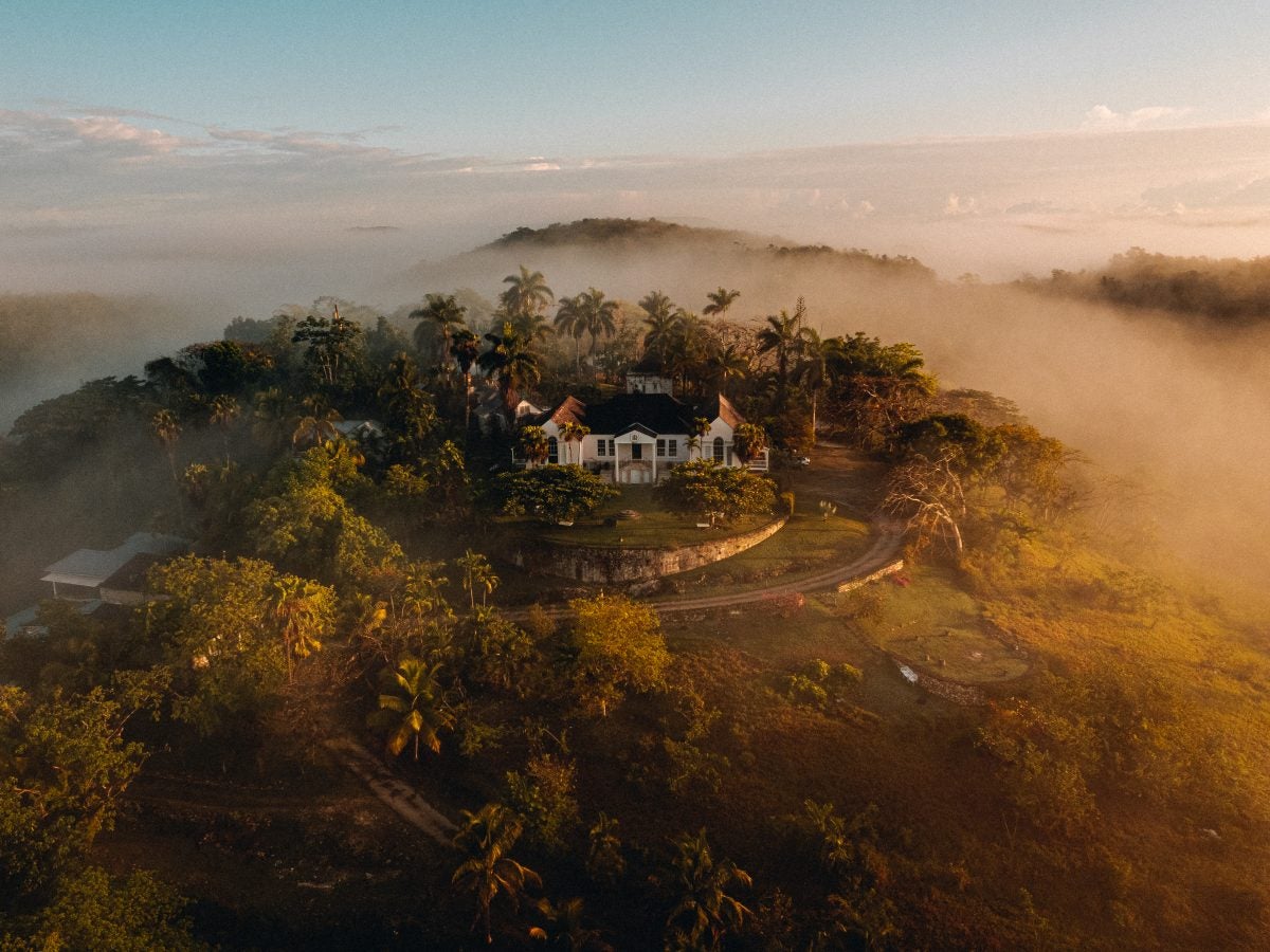 Fall Apart Without Fear: Inside My Psychedelic Wellness Experience In Jamaica