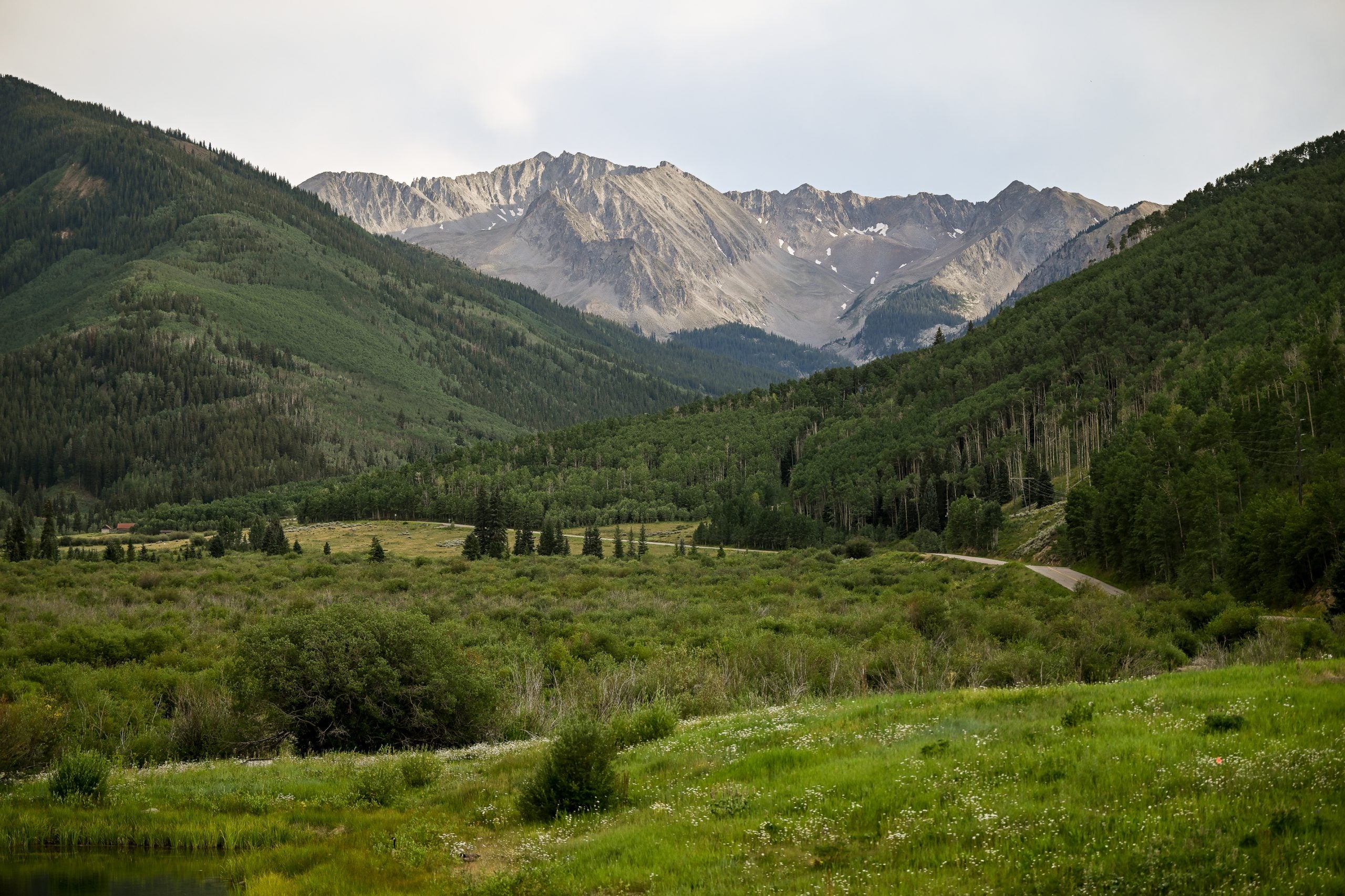 Curation as Communion: Inside The Summer Artist’s Table Powered by WOAH and Audi