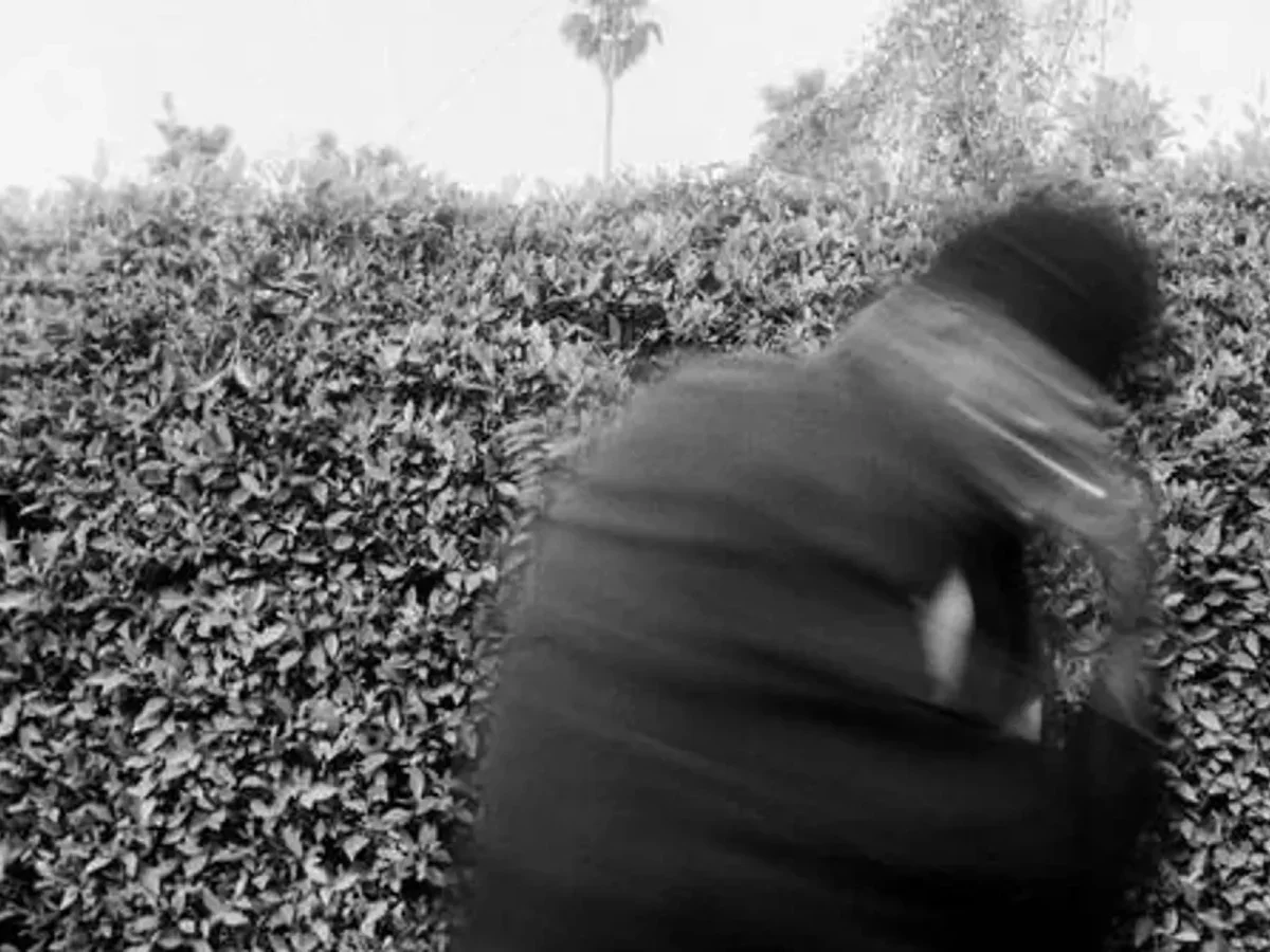 Best New Music This Week: Amaarae Drops ‘BLACK STAR,’ Gunna Releases ‘The Last Wun,’ Smino, And More