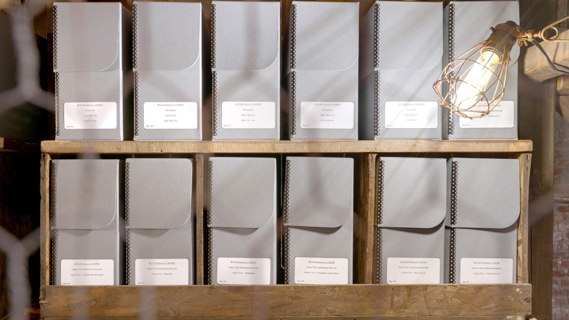 American Artist Brings Octavia Butler’s Family History Into Focus At CAAM